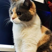 Picture of Jane