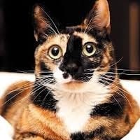 Picture of Jane
